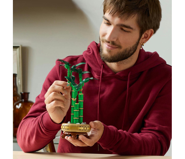 LEGO Botanicals 10344 Dracena sandera - 1283647 - zdjęcie 4